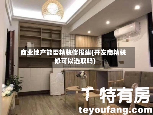 商业地产能否精装修报建(开发商精装修可以选取吗)-第3张图片