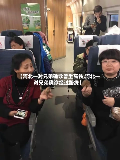 【河北一对兄弟确诊曾坐高铁,河北一对兄弟确诊经过路线】-第2张图片