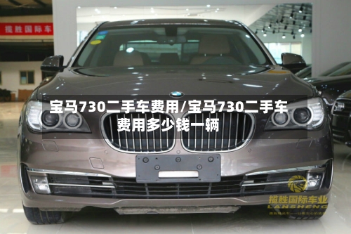 宝马730二手车费用/宝马730二手车费用多少钱一辆-第2张图片