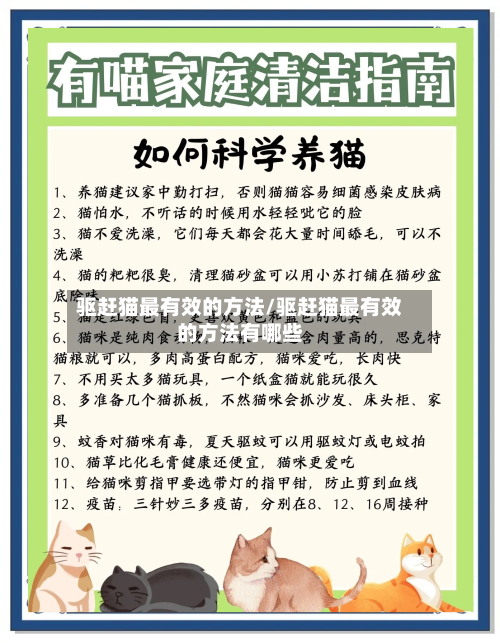 驱赶猫最有效的方法/驱赶猫最有效的方法有哪些-第1张图片