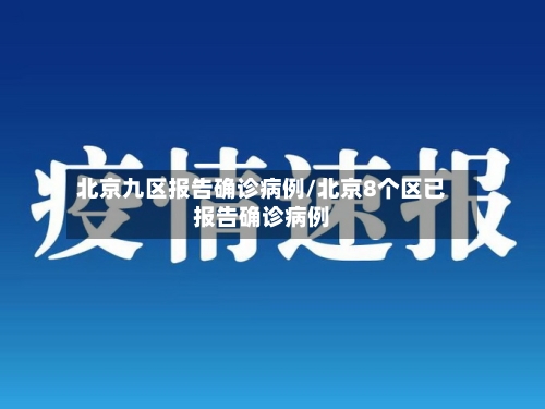 北京九区报告确诊病例/北京8个区已报告确诊病例-第3张图片