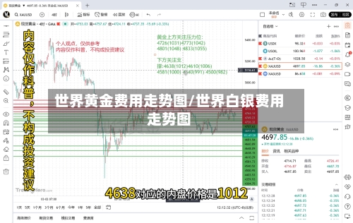 世界黄金费用走势图/世界白银费用走势图-第2张图片