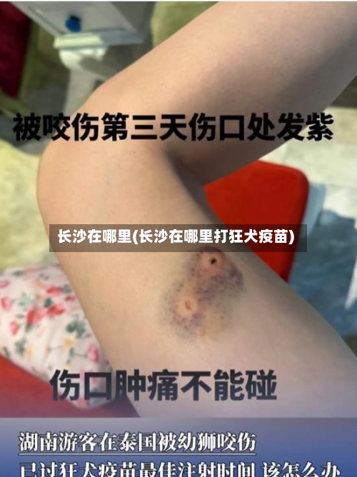 长沙在哪里(长沙在哪里打狂犬疫苗)-第1张图片