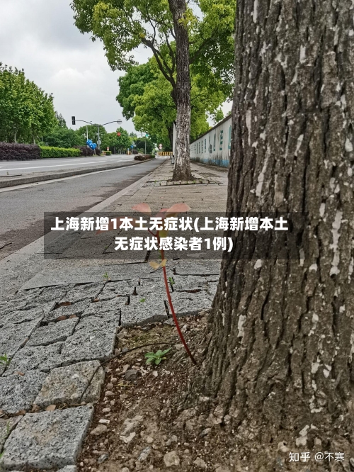 上海新增1本土无症状(上海新增本土无症状感染者1例)-第1张图片