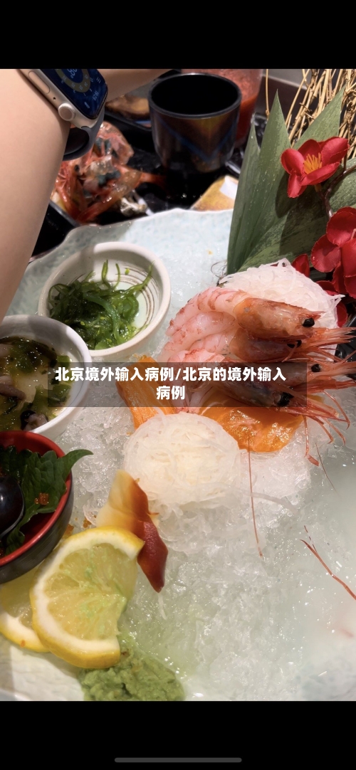 北京境外输入病例/北京的境外输入病例-第1张图片