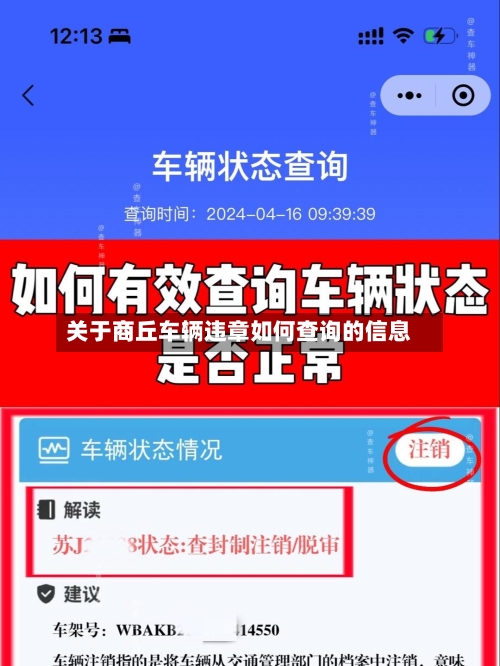 关于商丘车辆违章如何查询的信息-第3张图片