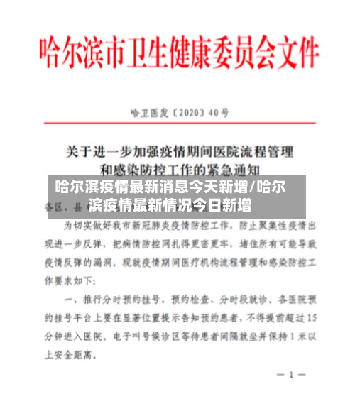 哈尔滨疫情最新消息今天新增/哈尔滨疫情最新情况今日新增-第3张图片
