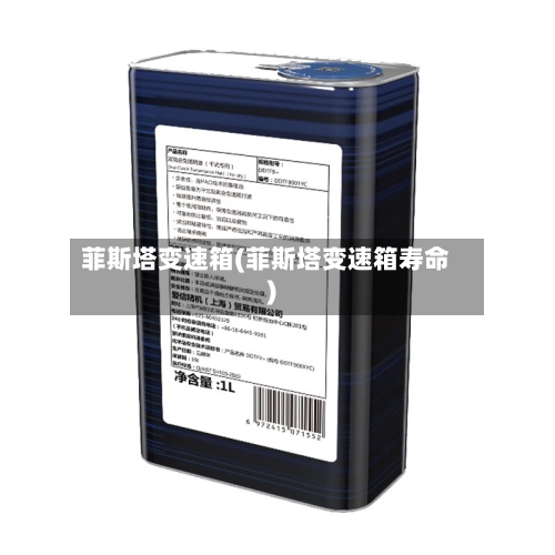 菲斯塔变速箱(菲斯塔变速箱寿命)-第2张图片