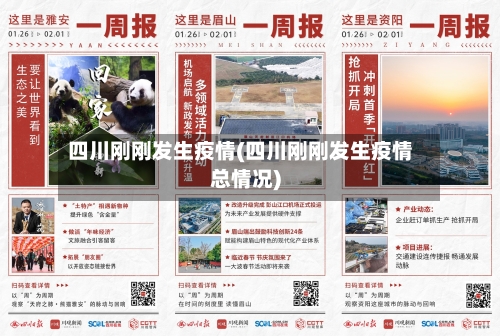 四川刚刚发生疫情(四川刚刚发生疫情总情况)-第2张图片
