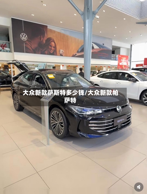 大众新款萨斯特多少钱/大众新款帕萨特-第2张图片