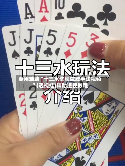 专用辅助“十三水洗牌做牌手法视频”(透视挂)辅助透视教程-第3张图片