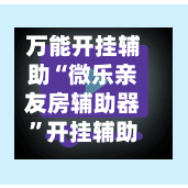 万能开挂辅助“微乐亲友房辅助器”开挂辅助脚本+详细开挂安装教程-第2张图片