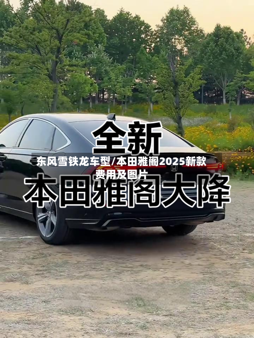 东风雪铁龙车型/本田雅阁2025新款费用及图片-第1张图片