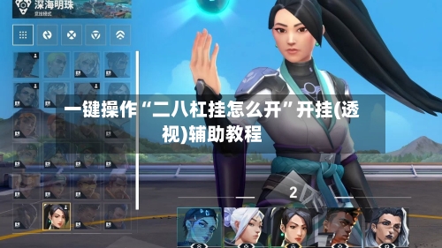 一键操作“二八杠挂怎么开”开挂(透视)辅助教程-第2张图片