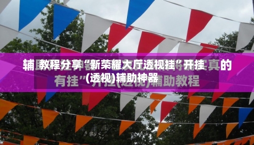 教程分享“新荣耀大厅透视挂”开挂(透视)辅助神器-第2张图片