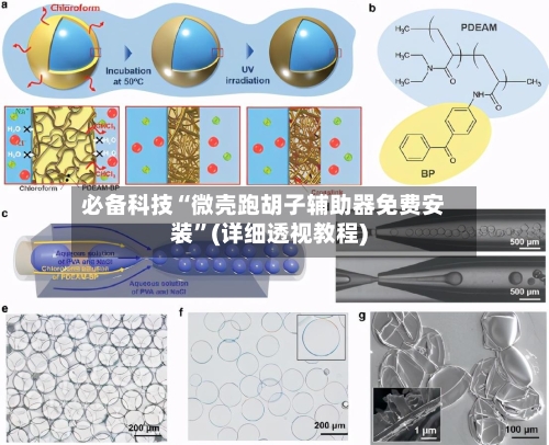 必备科技“微壳跑胡子辅助器免费安装”(详细透视教程)-第3张图片
