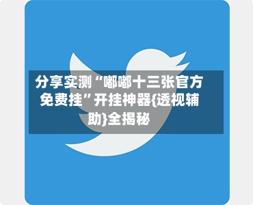 分享实测“嘟嘟十三张官方免费挂	”开挂神器{透视辅助}全揭秘-第2张图片
