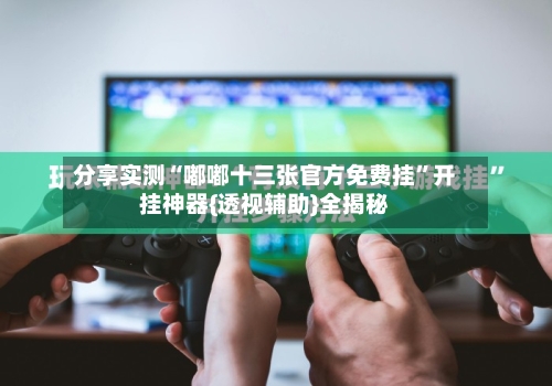 分享实测“嘟嘟十三张官方免费挂”开挂神器{透视辅助}全揭秘-第3张图片