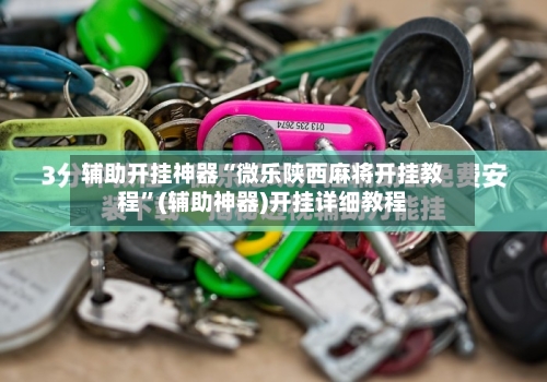 辅助开挂神器“微乐陕西麻将开挂教程”(辅助神器)开挂详细教程-第1张图片
