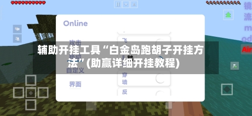 辅助开挂工具“白金岛跑胡子开挂方法”(助赢详细开挂教程)-第2张图片