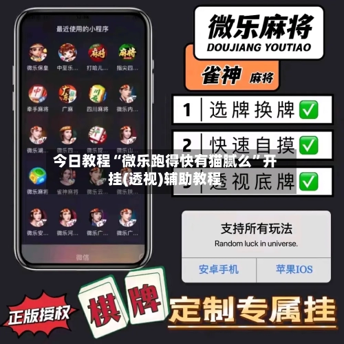 今日教程“微乐跑得快有猫腻么”开挂(透视)辅助教程-第3张图片