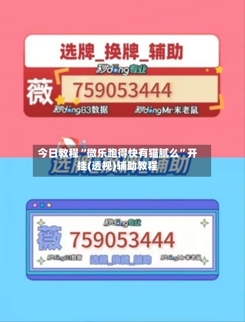 今日教程“微乐跑得快有猫腻么	”开挂(透视)辅助教程-第2张图片