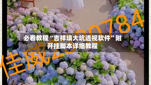 必看教程“吉祥填大坑透视软件”附开挂脚本详细教程-第2张图片