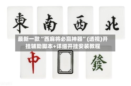 最新一款“西麻将必赢神器”(透视)开挂辅助脚本+详细开挂安装教程-第2张图片