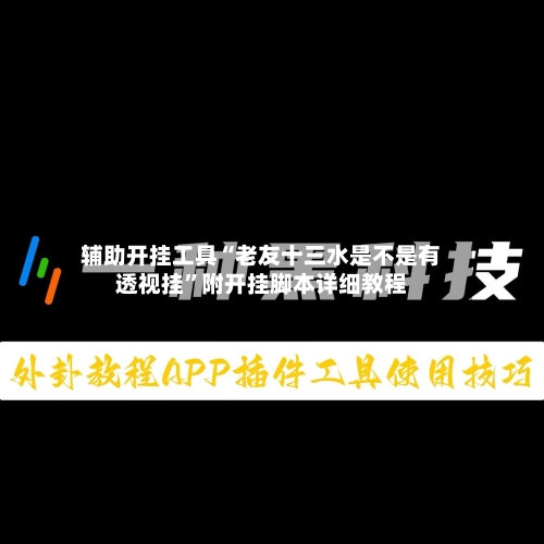 辅助开挂工具“老友十三水是不是有透视挂	”附开挂脚本详细教程-第2张图片