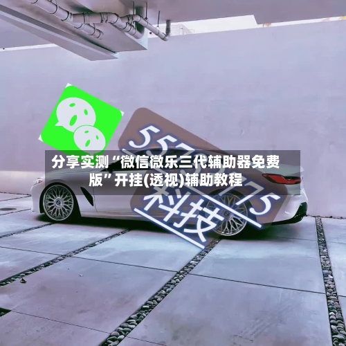分享实测“微信微乐三代辅助器免费版”开挂(透视)辅助教程-第1张图片