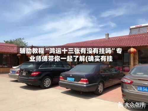 辅助教程“鸿运十三张有没有挂吗”专业师傅带你一起了解(确实有挂-第2张图片
