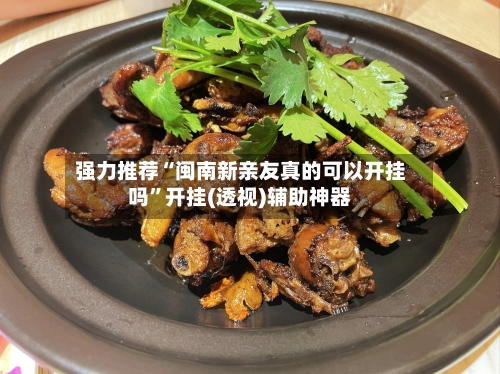 强力推荐“闽南新亲友真的可以开挂吗”开挂(透视)辅助神器-第2张图片