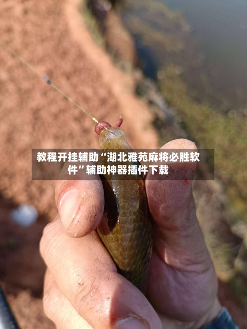 教程开挂辅助“湖北雅苑麻将必胜软件	”辅助神器插件下载-第2张图片