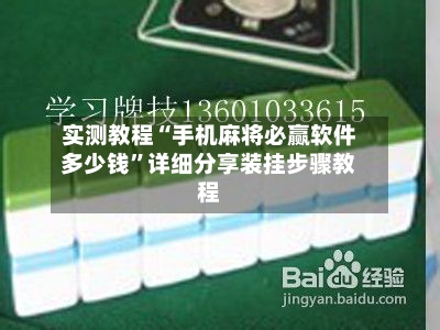 实测教程“手机麻将必赢软件多少钱	”详细分享装挂步骤教程-第3张图片