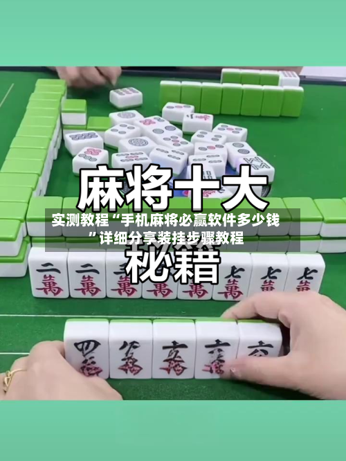 实测教程“手机麻将必赢软件多少钱”详细分享装挂步骤教程-第2张图片