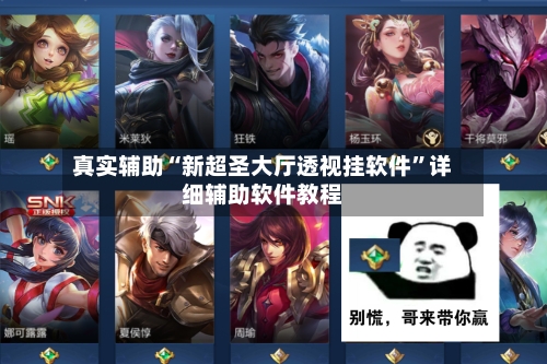 真实辅助“新超圣大厅透视挂软件”详细辅助软件教程-第2张图片