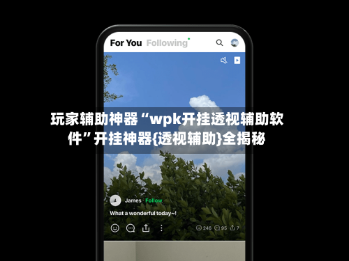 玩家辅助神器“wpk开挂透视辅助软件	”开挂神器{透视辅助}全揭秘-第2张图片