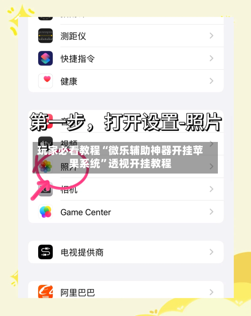 玩家必看教程“微乐辅助神器开挂苹果系统”透视开挂教程-第2张图片