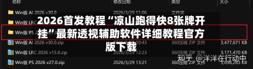 2026首发教程“凉山跑得快8张牌开挂”最新透视辅助软件详细教程官方版下载-第3张图片
