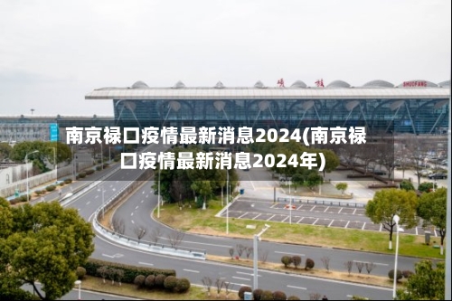 南京禄口疫情最新消息2024(南京禄口疫情最新消息2024年)-第2张图片