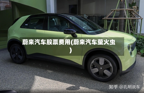 蔚来汽车股票费用(蔚来汽车萤火虫)-第2张图片