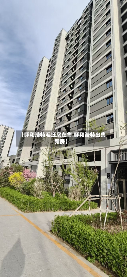 【呼和浩特毛坯房在售,呼和浩特出售新房】-第2张图片