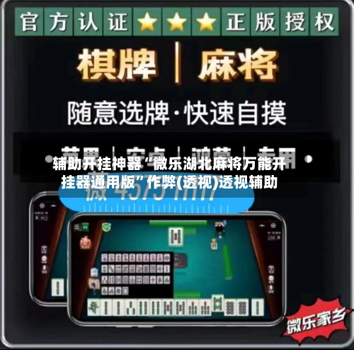 辅助开挂神器“微乐湖北麻将万能开挂器通用版	”作弊(透视)透视辅助-第2张图片