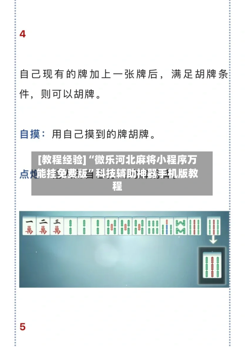 [教程经验]“微乐河北麻将小程序万能挂免费版”科技辅助神器手机版教程-第3张图片