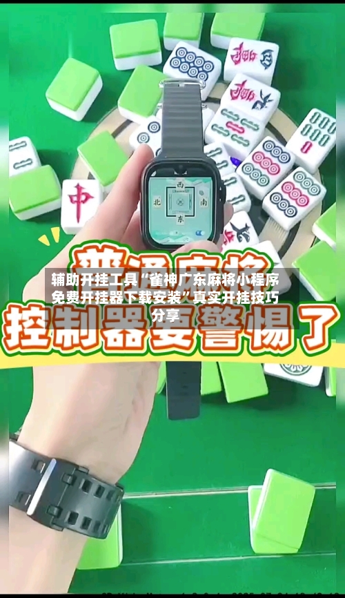 辅助开挂工具“雀神广东麻将小程序免费开挂器下载安装”真实开挂技巧分享-第3张图片