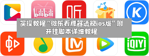 实操教程“微乐看牌器透视ios版”附开挂脚本详细教程-第2张图片