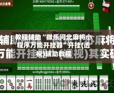 教程辅助“微乐河北麻将小程序万能开挂器”开挂(透视)辅助教程-第2张图片