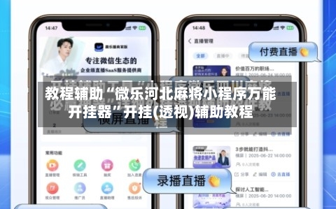 教程辅助“微乐河北麻将小程序万能开挂器	”开挂(透视)辅助教程-第3张图片