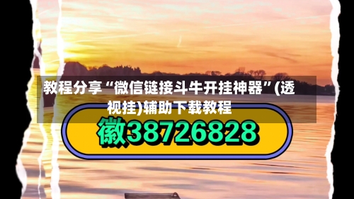 教程分享“微信链接斗牛开挂神器	”(透视挂)辅助下载教程-第2张图片