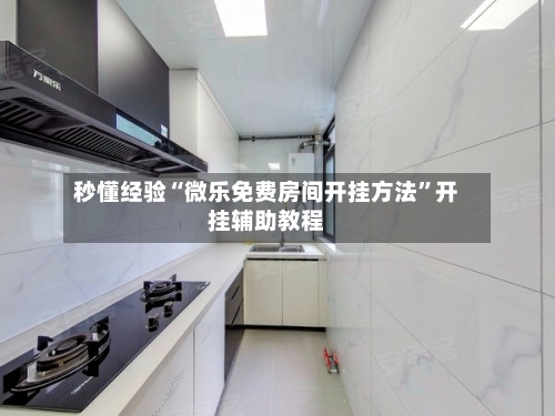 秒懂经验“微乐免费房间开挂方法	”开挂辅助教程-第2张图片